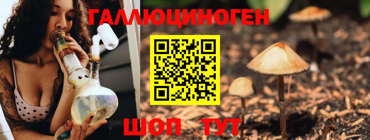 Галлюциногенные грибы Magic Shrooms  Вход с VPN  Ессентуки  Галлюциногенные грибы GOLDEN TEACHER 